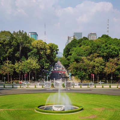 Looking at Ho Chi Minh, from the top of the Independence Palace

#vietnam #hochiminh #landscape #green #city
