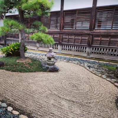 The quiet backyard of a Japanese castle

#japan #kawagoe #garden #peaceful #quiet #japanesegarden #japanese