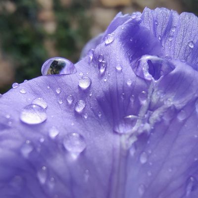 27521fd4-b349-5174-b616-bfa9fa2033bf