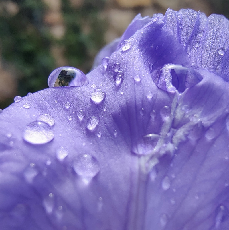 27521fd4-b349-5174-b616-bfa9fa2033bf