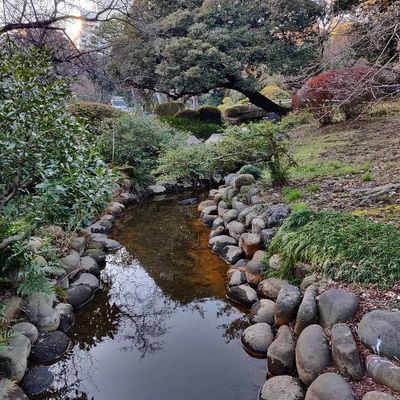 Interesting water color

#japan #tokyo #park #nature #river #garden