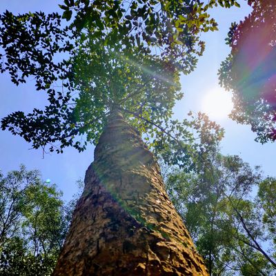 3d35f130-3383-5233-8b98-47b2030526e4