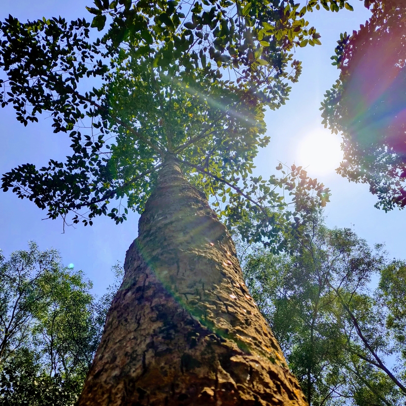 3d35f130-3383-5233-8b98-47b2030526e4