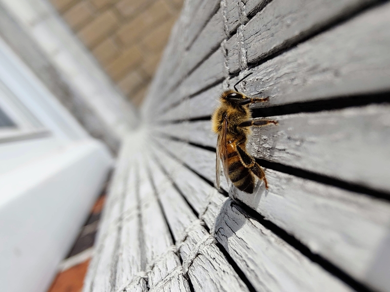 099814f3-c1b2-5a29-a88d-b9ba6dffb754