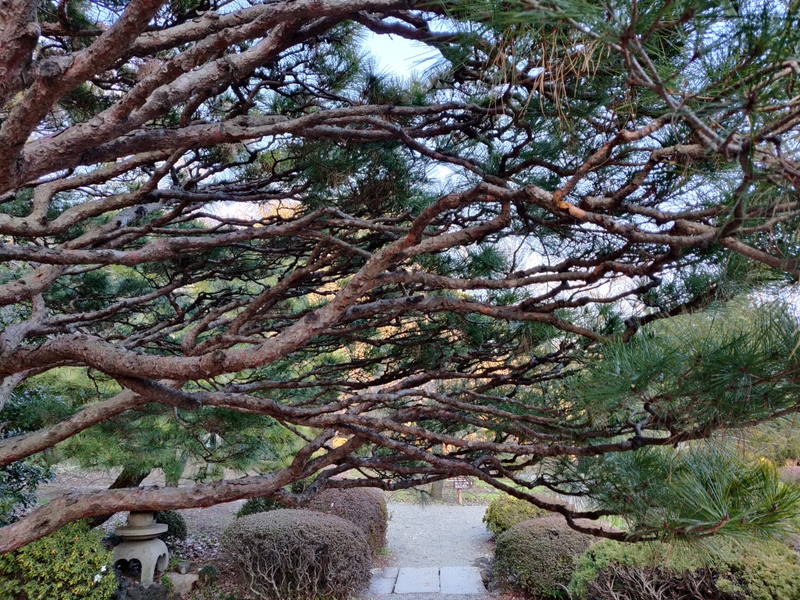 efd62675-aa8d-51d2-a769-66f4c411dc50