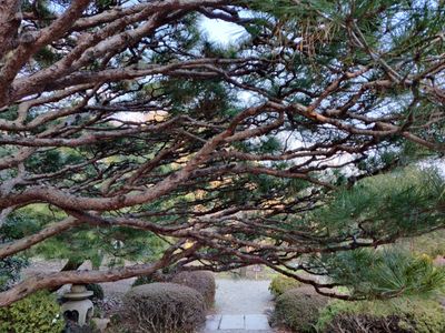 efd62675-aa8d-51d2-a769-66f4c411dc50