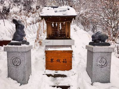 Stroke the leg of one, the head of the other, and it might bring you good fortune (usagi shrine)

#japan #mtfuji #shrine  #rabbit #snow