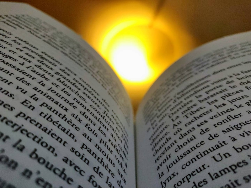 Just having a light read. A French book some of you might recognize

#book #light #perspective #sylvaintesson