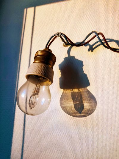 312df47a-86e6-50a4-8068-2b7b5f6486c1