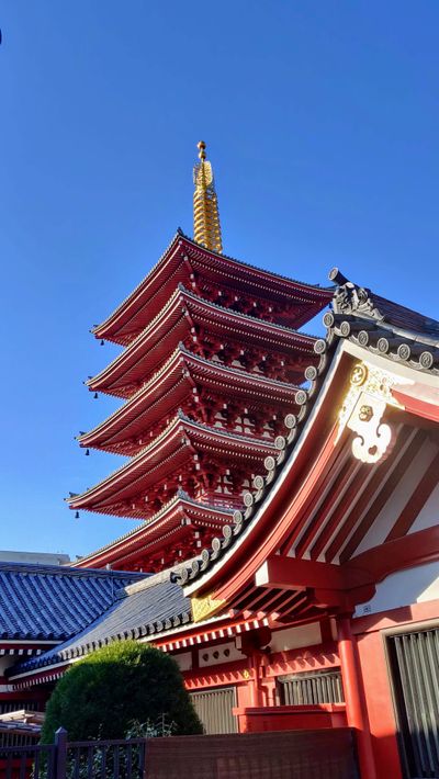 ea62a78b-f958-56c5-858a-396b22e2702e