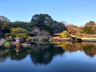A surprising mix of colours

#japan #tokyo #park #garden #colorful #landscape