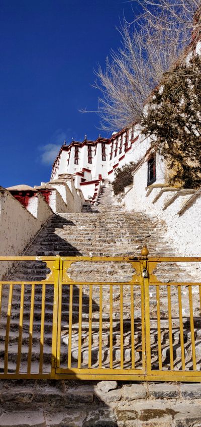 83055ec4-6667-5b3d-8f1e-8fe956d8c4d1